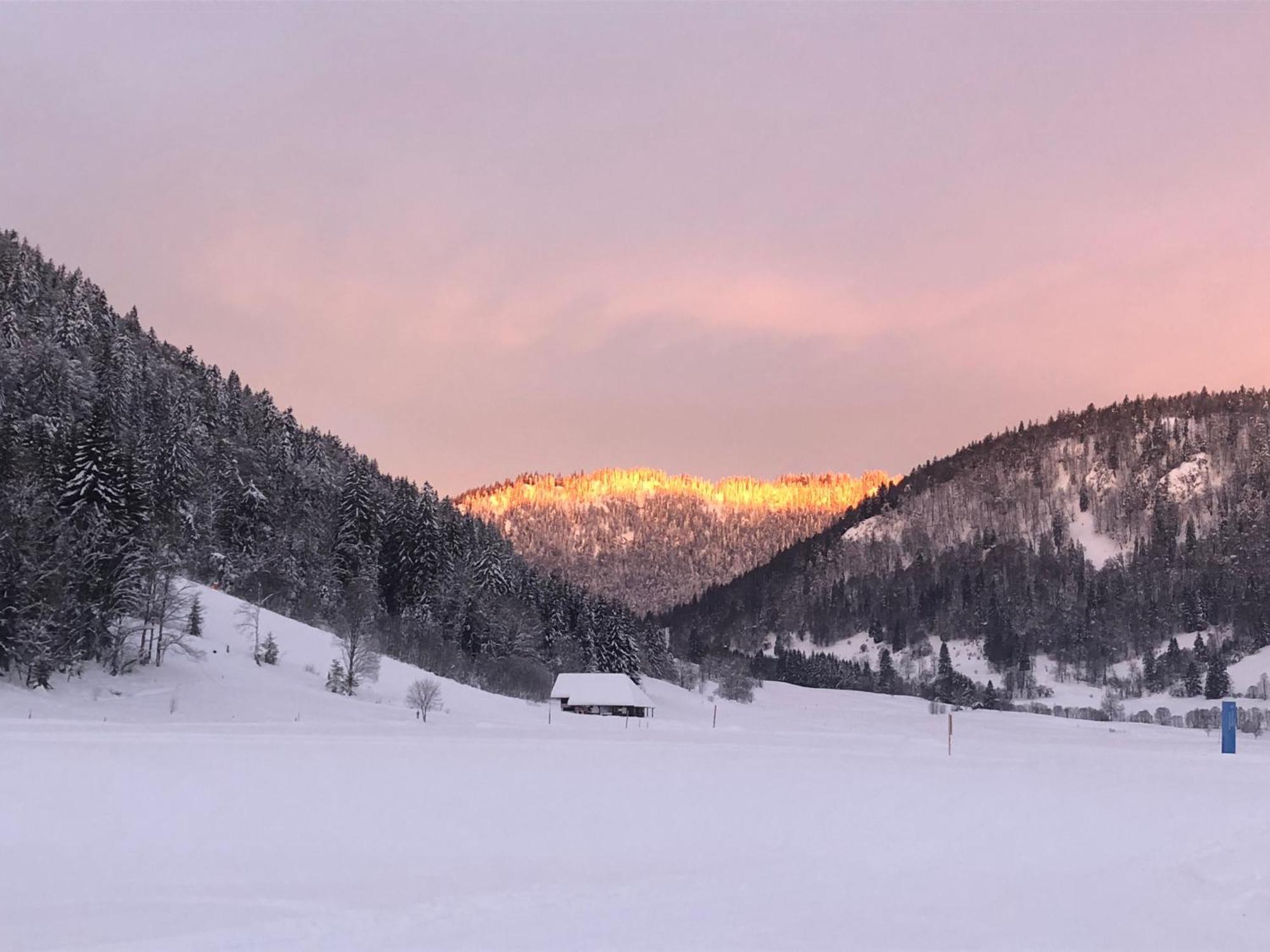 Forest Apartment-Mountain Escape Menzenschwand Sankt Blasien Exteriör bild